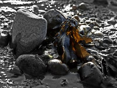 Sunlit Beach 2