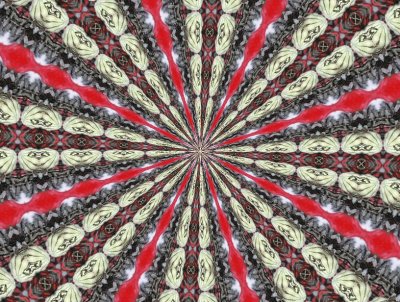 Poppy Kaleidoscope 1