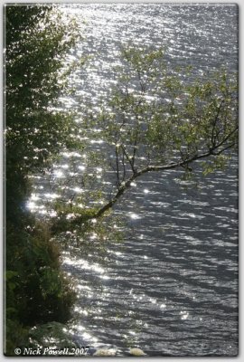 Sunlit Loch
