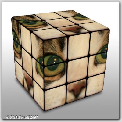 Virtual Rubik's Cubes