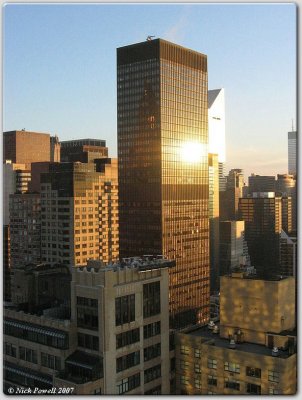 Sunlit Skyscraper