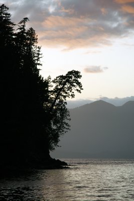 morning light