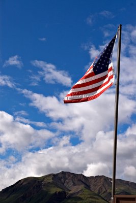 Flag flying at the bus stop