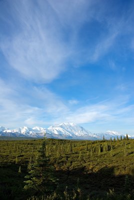 Denali by day