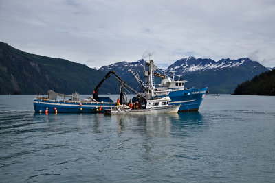 Fishing boat outside Valdez