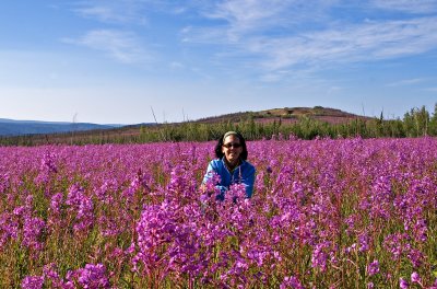 Trish sitting in a Field of Fireweed