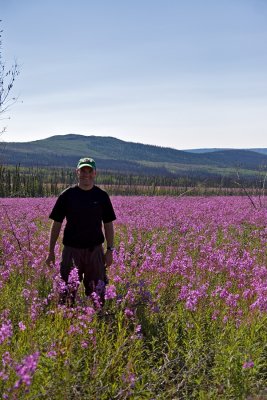 Brian in a Field of Fireweed