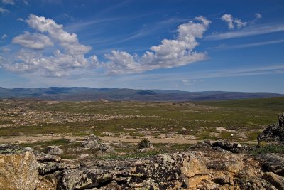 Open Tundra