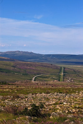 Open Tundra with the pipeline