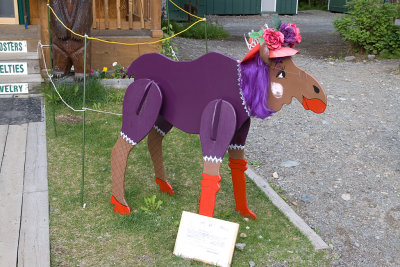 IMGP8105.jpg