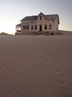 Hyena tracks