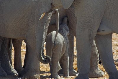 Squeezed for a drink