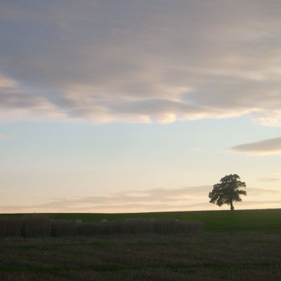 Posieux 27.07.07