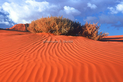 MV dunes 1621550-R1-E004..jpg