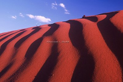 sand dunes detail.jpg