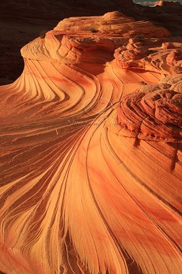 IMG_5988Wave.jpg
