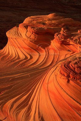 IMG_6072Wave.jpg