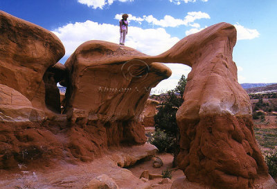 Metate Arch