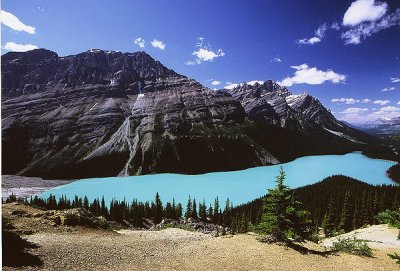 g6/02/782702/3/84545189.ad0kF4o7.jpg