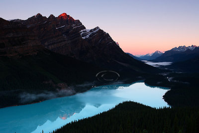 PA4S4576Peyto Aug 06.jpg