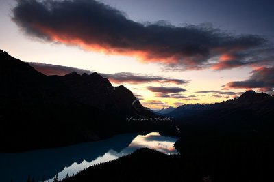 PA4S4874Peyto Aug 06.jpg