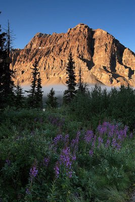 Icefields Parkway, Banff National park