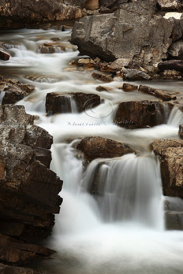 0C9K1890  Swiftcurrent Falls.jpg