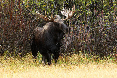 0C9K3635 Tetons Sept23-07.jpg