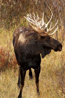 0C9K3882 Tetons Sept24-07.jpg