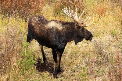 0C9K3940 Tetons Sept24-07.jpg