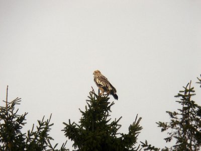 g6/02/786002/3/82031778.f4hQZUi1.jpg