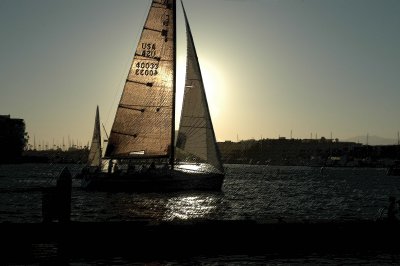 Marina del Rey in August