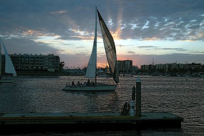 Marina del Rey in August