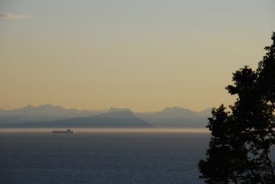 DSC_4427.jpg