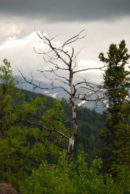 DSC_4556.jpg