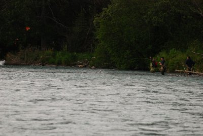 DSC_4626.jpg