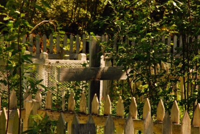 DSC_5536.jpg