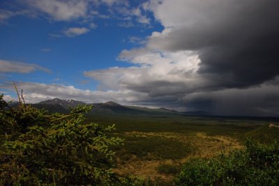 DSC_5861.jpg