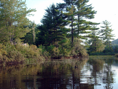 HPIM0808.jpg