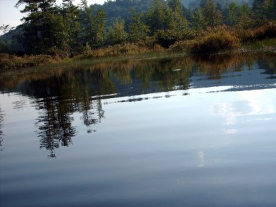 HPIM0810.jpg