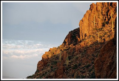 Rocks and Saguaro