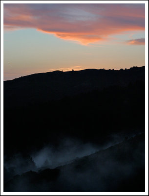 Muir Woods: Fog and Sunset