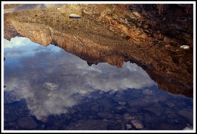 Reflection -- Sabino Canyon