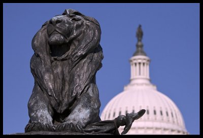 The Lion and Democracy