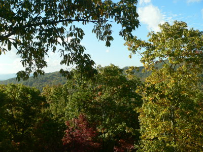 View from back deck during first part of vacation