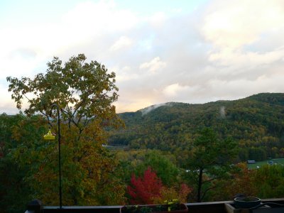 View from deck early in the morning