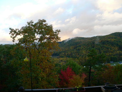View from deck early in the morning