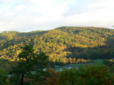 View from deck early in the morning