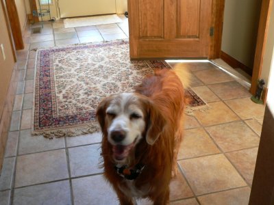Winnie