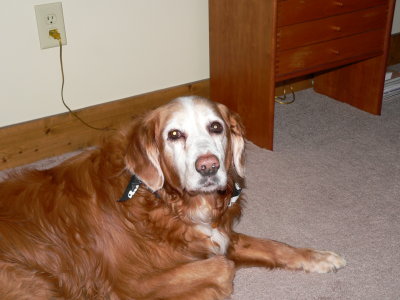 Winnie